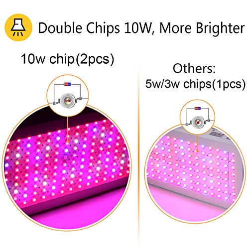 bestva-2000w-dual-chips-led-grow.info
