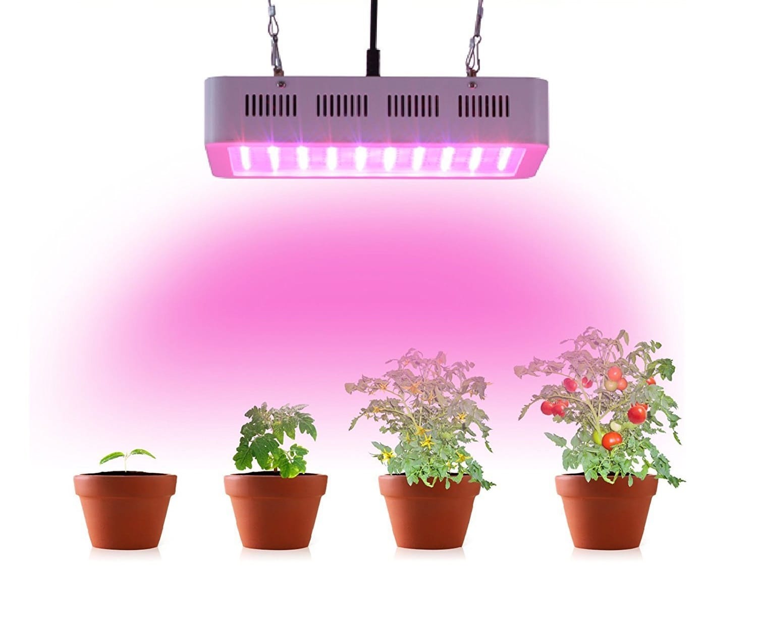 LED Grow. Info | Das Infoportal für LED Pflanzenlampen & Zubehör